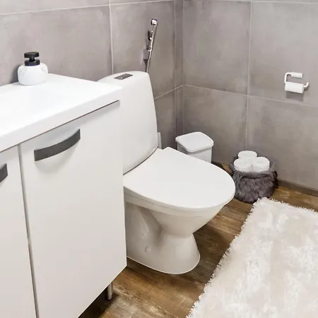 Ferienhaus Panorama By Interhome Ruka